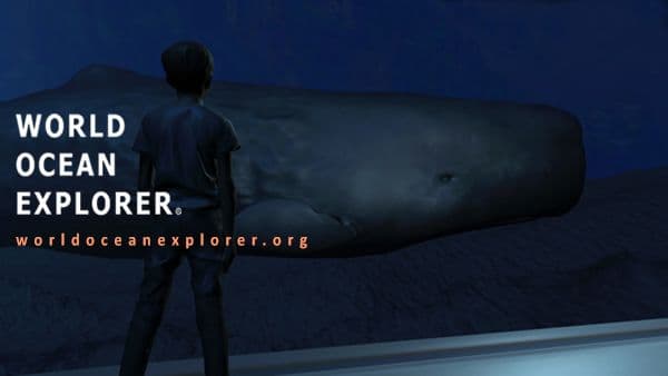 Estas imágenes promocionales destacan las plataformas digitales educativas: la aplicación SmallTalk, que utiliza un personaje animado en 3D llamado Oscar para enseñar el lenguaje de señas americano a través de cuestionarios interactivos, y el World Ocean Explorer, que ofrece un módulo de inmersión virtual en 3D gratuito para aulas que permite a los estudiantes observar la vida en las profundidades del mar, como las ballenas.