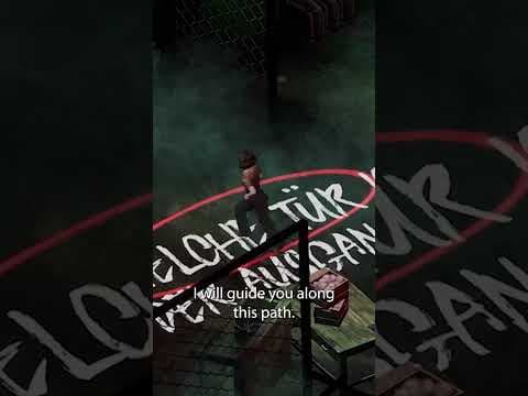 在莫卡·埃夫蒂的一夜
